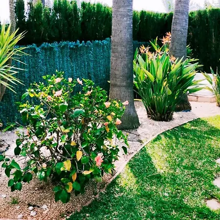 Tatil Evi El Palmar Denia